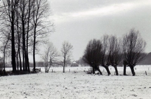 F61 Wintersfeer bij Vorden, 1963